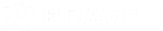 BRAVE X